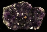 Deep Purple Amethyst Cluster - Uruguay #30643-1